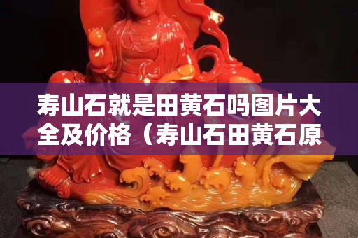 壽山石就是田黃石嗎圖片大全及價(jià)格（壽山石田黃石原石圖片）