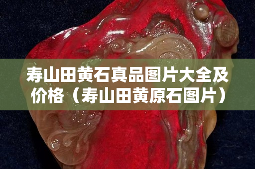 壽山田黃石真品圖片大全及價(jià)格（壽山田黃原石圖片）