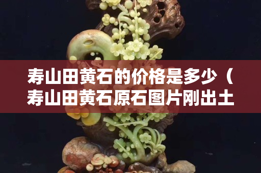 壽山田黃石的價(jià)格是多少（壽山田黃石原石圖片剛出土的田黃）