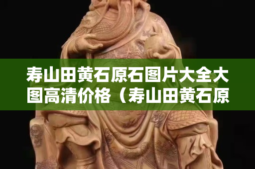 壽山田黃石原石圖片大全大圖高清價(jià)格（壽山田黃石原石圖片大全大圖高清價(jià)格表）