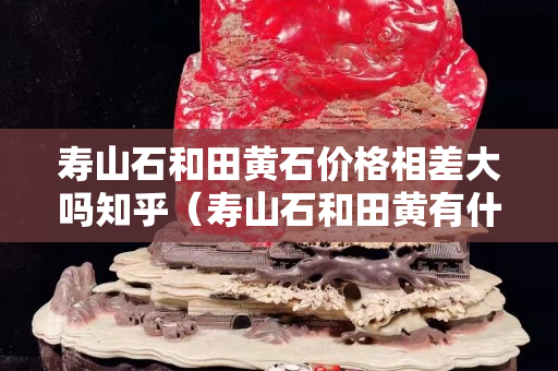 壽山石和田黃石價(jià)格相差大嗎知乎（壽山石和田黃有什么區(qū)別）