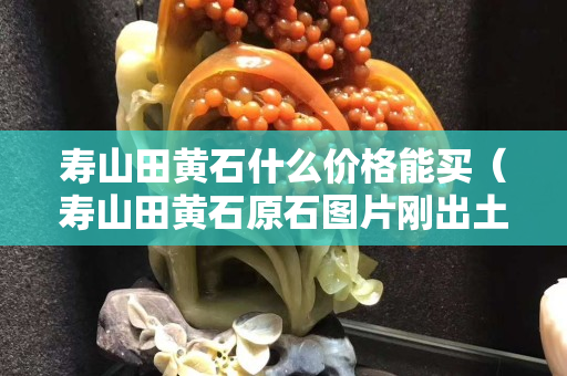 壽山田黃石什么價格能買（壽山田黃石原石圖片剛出土的田黃）