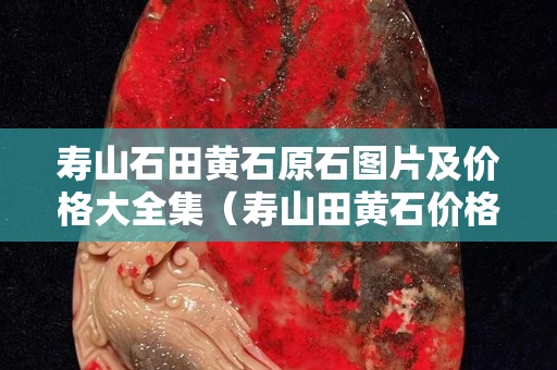 壽山石田黃石原石圖片及價(jià)格大全集（壽山田黃石價(jià)格多少錢一克2020）