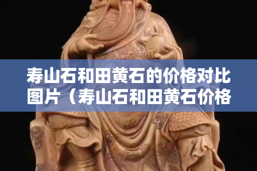 壽山石和田黃石的價格對比圖片(壽山石和田黃石價格相差大嗎) 壽山石和田黃石的價格對比圖片(壽山石和田黃石價格相差大嗎)