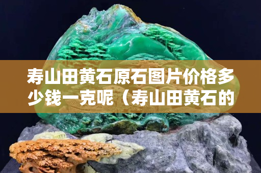 壽山田黃石原石圖片價(jià)格多少錢一克呢（壽山田黃石的價(jià)格）