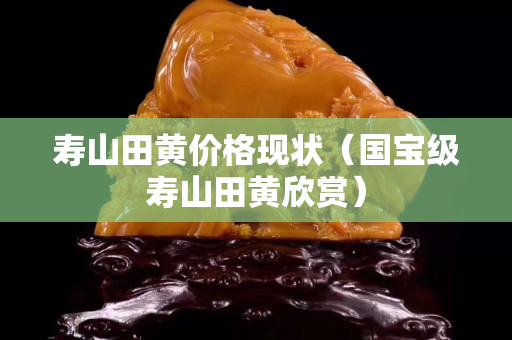 壽山田黃價(jià)格現(xiàn)狀（國(guó)寶級(jí)壽山田黃欣賞）