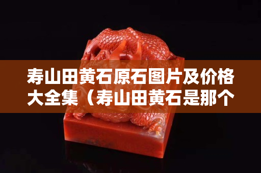 壽山田黃石原石圖片及價格大全集（壽山田黃石是那個地方）