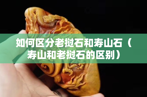 如何區分老撾石和壽山石（壽山和老撾石的區別）
