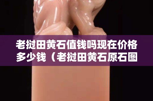 老撾田黃石值錢嗎現在價格多少錢（老撾田黃石原石圖片）