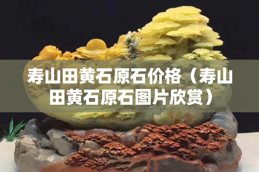 壽山田黃石原石價格（壽山田黃石原石圖片欣賞）