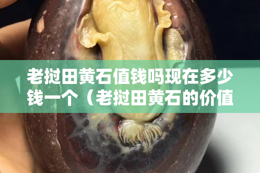 老撾田黃石值錢嗎現在多少錢一個（老撾田黃石的價值）