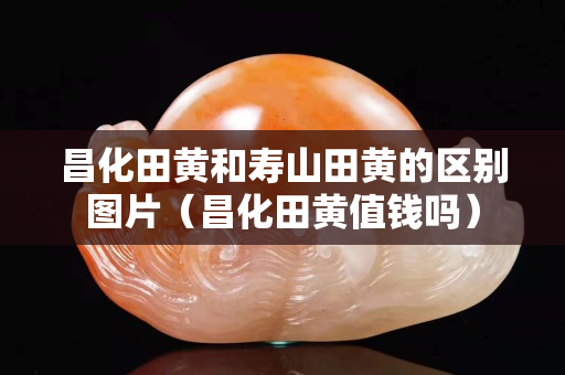昌化田黃和壽山田黃的區別圖片（昌化田黃值錢嗎）