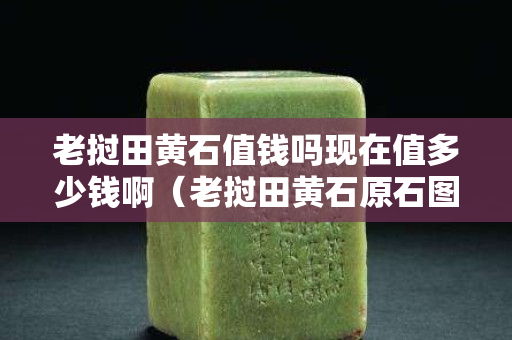 老撾田黃石值錢嗎現在值多少錢啊（老撾田黃石原石圖片）