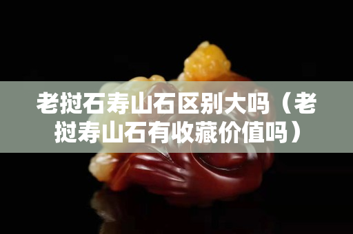 老撾石壽山石區別大嗎（老撾壽山石有收藏價值嗎）