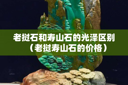 老撾石和壽山石的光澤區別(老撾壽山石的價格) 老撾石和壽山石的光澤區別(老撾壽山石的價格)