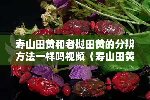 壽山田黃和老撾田黃的分辨方法一樣嗎視頻（壽山田黃鑒別視頻）