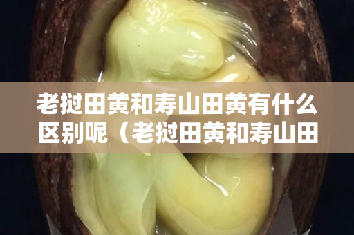 老撾田黃和壽山田黃有什么區別呢（老撾田黃和壽山田黃有什么區別呢）