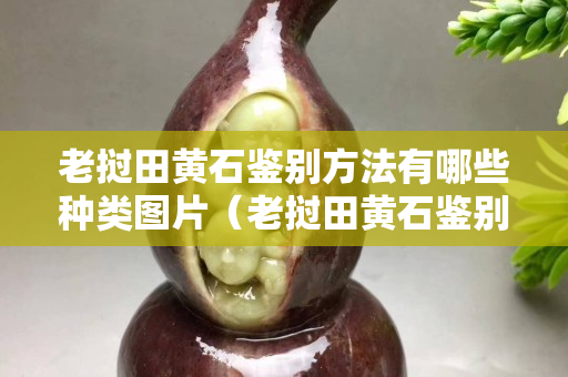 老撾田黃石鑒別方法有哪些種類圖片(老撾田黃石鑒別方法有哪些種類圖片) 老撾田黃石鑒別方法有哪些種類圖片(老撾田黃石鑒別方法有哪些種類圖片)