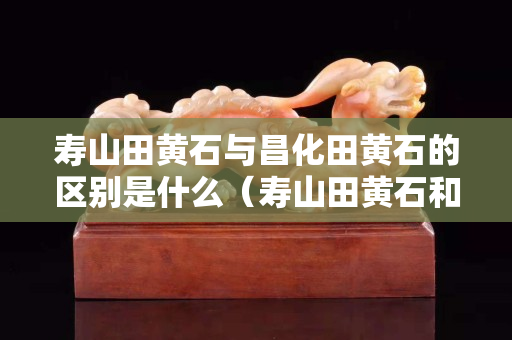 壽山田黃石與昌化田黃石的區別是什么（壽山田黃石和昌化田黃區別）