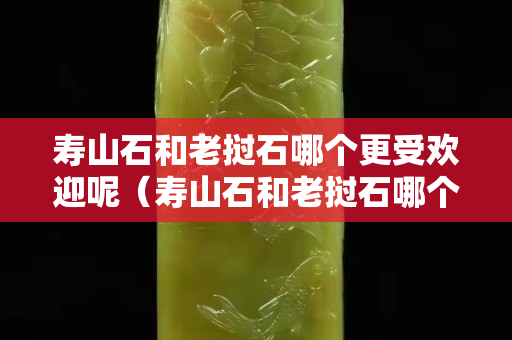 壽山石和老撾石哪個更受歡迎呢（壽山石和老撾石哪個更受歡迎呢知乎）