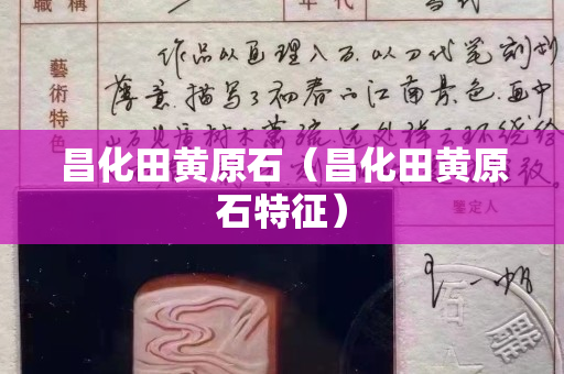 昌化田黃原石(昌化田黃原石特征) 昌化田黃原石(昌化田黃原石特征)