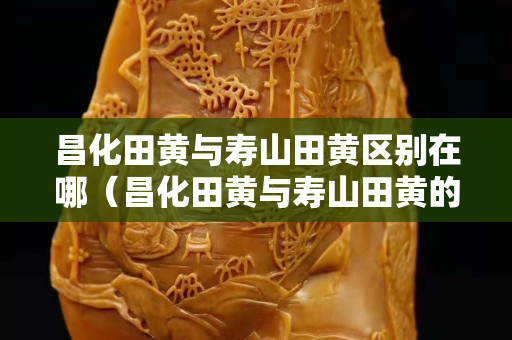 昌化田黃與壽山田黃區別在哪（昌化田黃與壽山田黃的區別）
