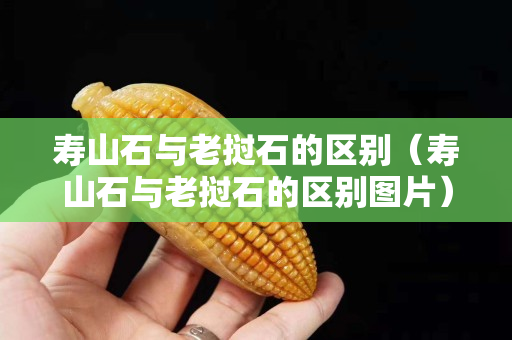 壽山石與老撾石的區別(壽山石與老撾石的區別圖片) 壽山石與老撾石的區別(壽山石與老撾石的區別圖片)