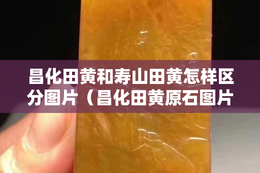 昌化田黃和壽山田黃怎樣區(qū)分圖片（昌化田黃原石圖片）