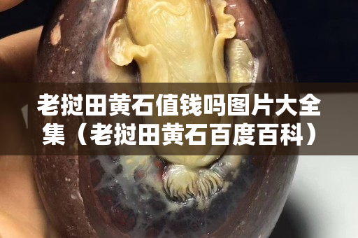 老撾田黃石值錢嗎圖片大全集(老撾田黃石百度百科) 老撾田黃石值錢嗎圖片大全集(老撾田黃石百度百科)