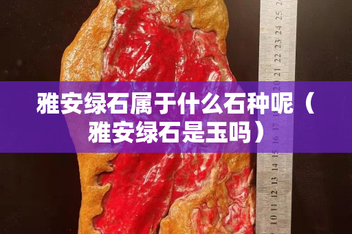 雅安綠石屬于什么石種呢(雅安綠石是玉嗎) 雅安綠石屬于什么石種呢(雅安綠石是玉嗎)