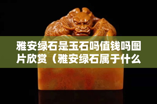 雅安綠石是玉石嗎值錢嗎圖片欣賞（雅安綠石屬于什么石）