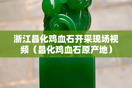 浙江昌化雞血石開采現(xiàn)場視頻（昌化雞血石原產(chǎn)地）