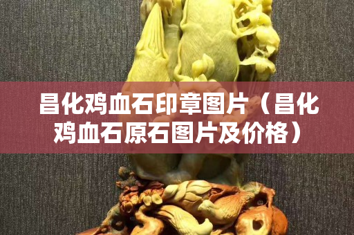 昌化雞血石印章圖片(昌化雞血石原石圖片及價格) 昌化雞血石印章圖片(昌化雞血石原石圖片及價格)