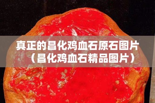 真正的昌化雞血石原石圖片（昌化雞血石精品圖片）