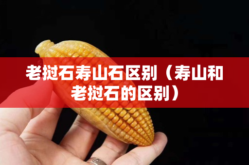 老撾石壽山石區(qū)別（壽山和老撾石的區(qū)別）