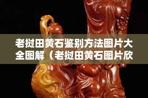 老撾田黃石鑒別方法圖片大全圖解（老撾田黃石圖片欣賞）