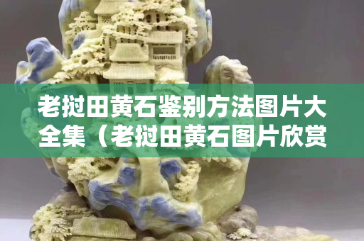 老撾田黃石鑒別方法圖片大全集（老撾田黃石圖片欣賞）