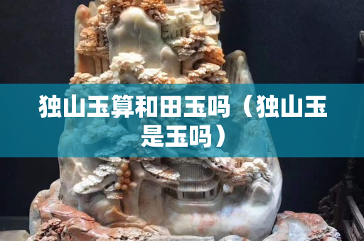獨山玉算和田玉嗎（獨山玉是玉嗎）