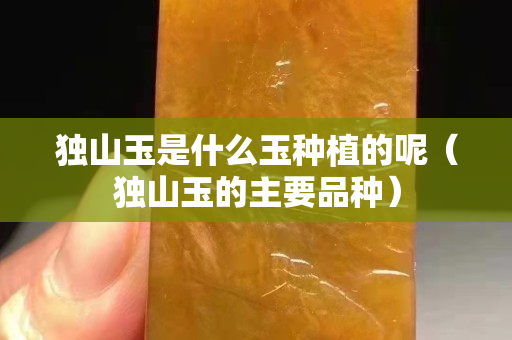獨(dú)山玉是什么玉種植的呢(獨(dú)山玉的主要品種) 獨(dú)山玉是什么玉種植的呢(獨(dú)山玉的主要品種)