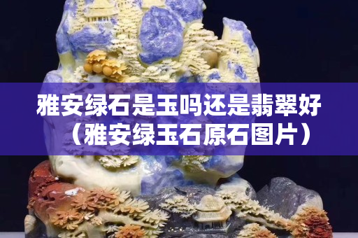 雅安綠石是玉嗎還是翡翠好（雅安綠玉石原石圖片）