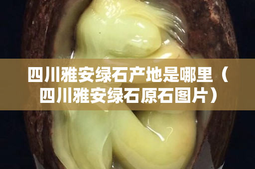 四川雅安綠石產(chǎn)地是哪里（四川雅安綠石原石圖片）