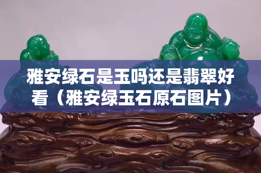 雅安綠石是玉嗎還是翡翠好看（雅安綠玉石原石圖片）