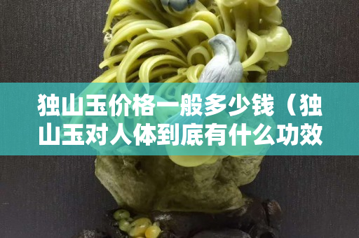 獨山玉價格一般多少錢（獨山玉對人體到底有什么功效）