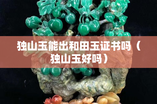 獨山玉能出和田玉證書嗎（獨山玉好嗎）
