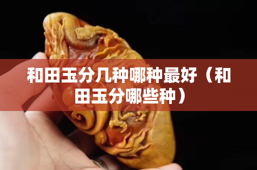 和田玉分幾種哪種最好（和田玉分哪些種）
