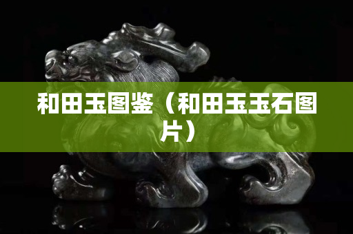 和田玉圖鑒（和田玉玉石圖片）