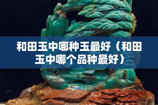 和田玉中哪種玉最好（和田玉中哪個品種最好）