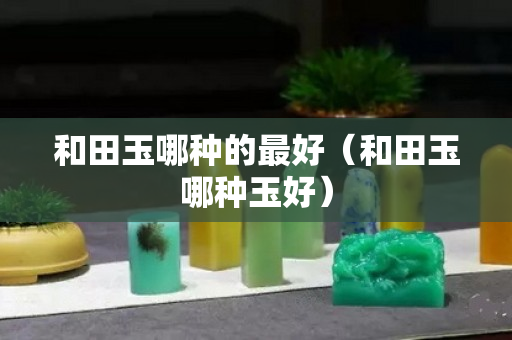 和田玉哪種的最好(和田玉哪種玉好) 和田玉哪種的最好(和田玉哪種玉好)