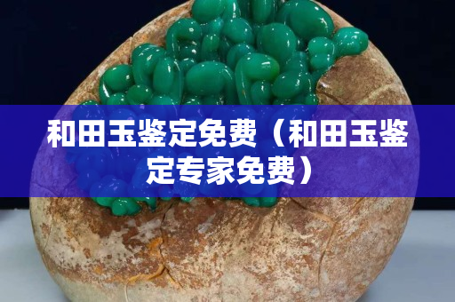 和田玉鑒定免費（和田玉鑒定專家免費）