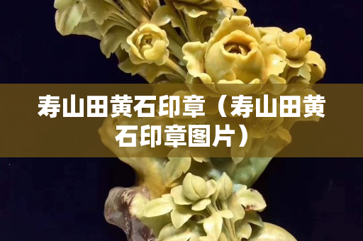 壽山田黃石印章(壽山田黃石印章圖片) 壽山田黃石印章(壽山田黃石印章圖片)
